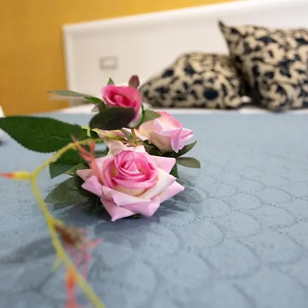 Bed & Breakfast L'oasi 3*